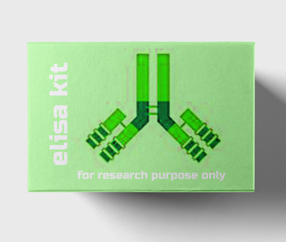 Mouse angiogenin 1 (Ang-1) ELISA kit Mouse angiogenin 1 (Ang-1) ELISA kit